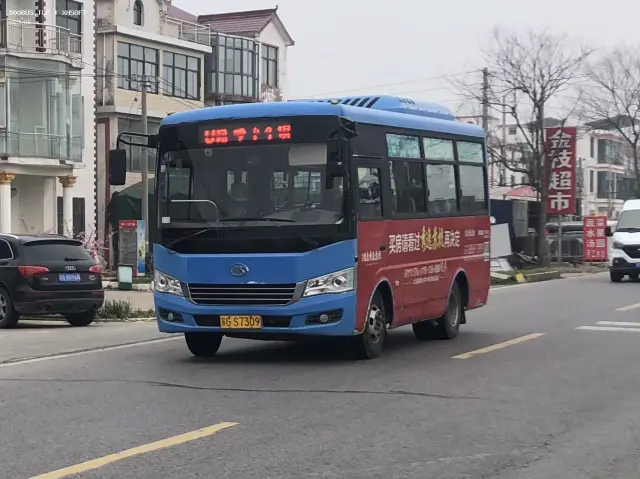 800BUS