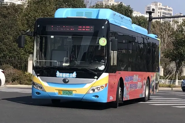 800BUS