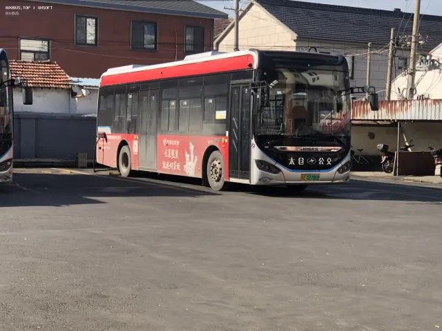 800BUS