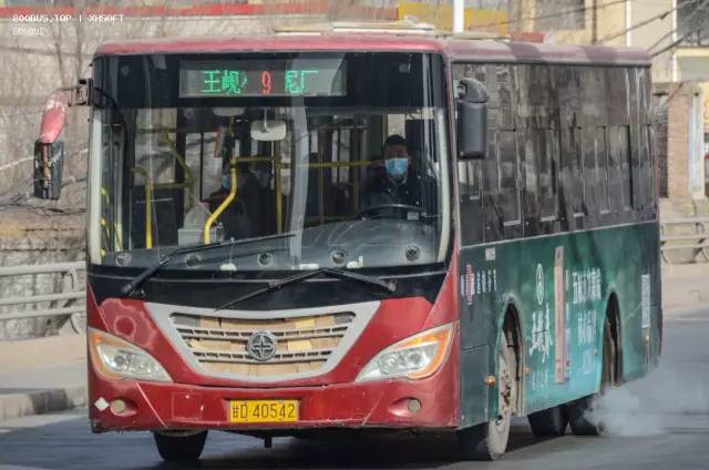 800BUS