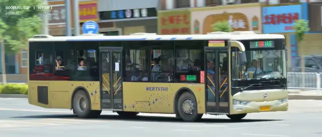 800BUS