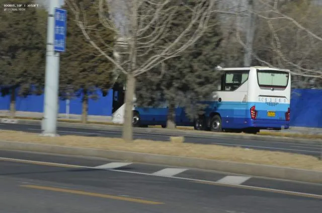 冀C 93869