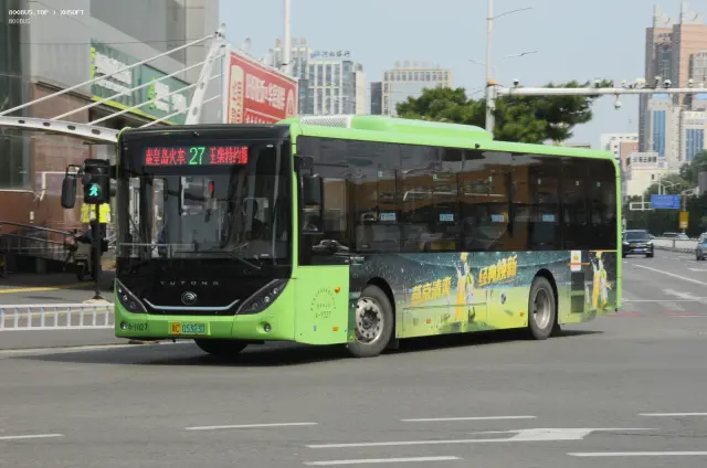 冀C 05323D