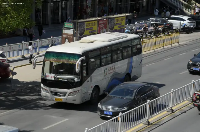 800BUS