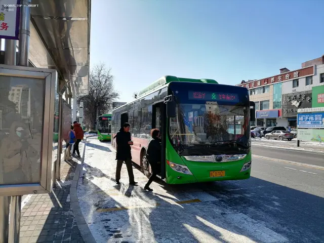 800BUS