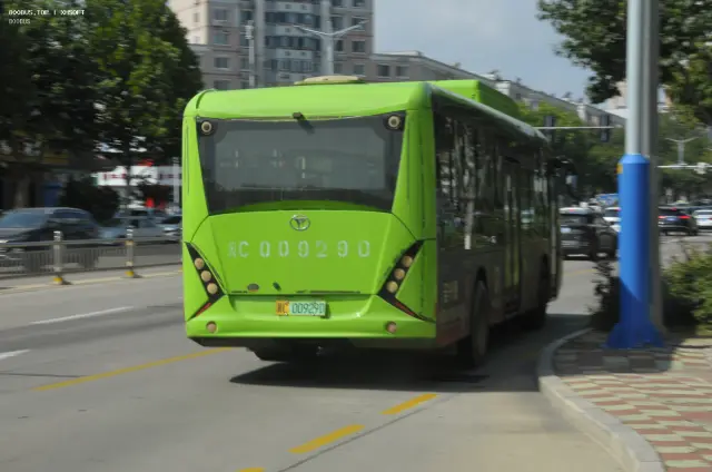 800BUS