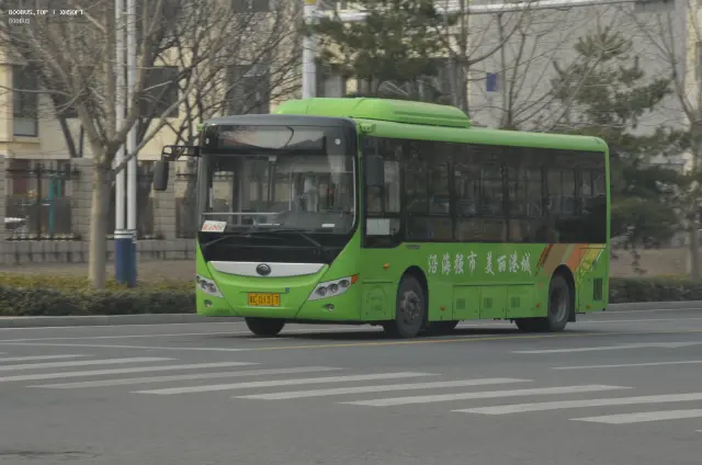 冀C·D1317