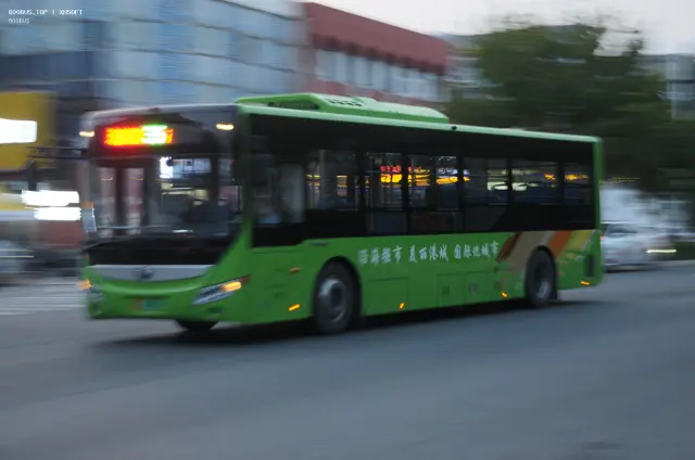 800BUS