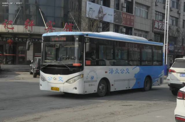 800BUS