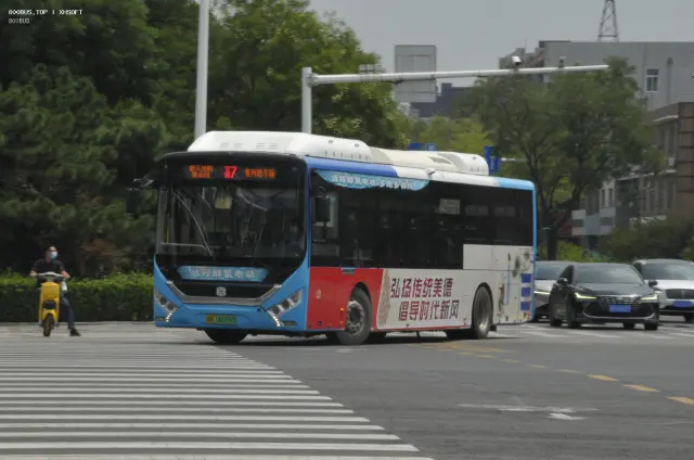 冀B 08099D