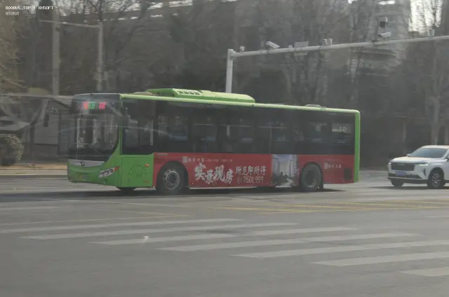 800BUS