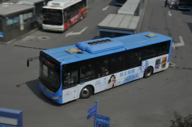 800BUS