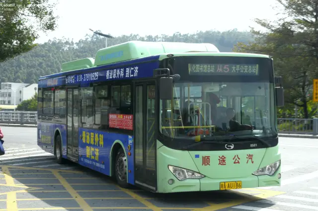800BUS