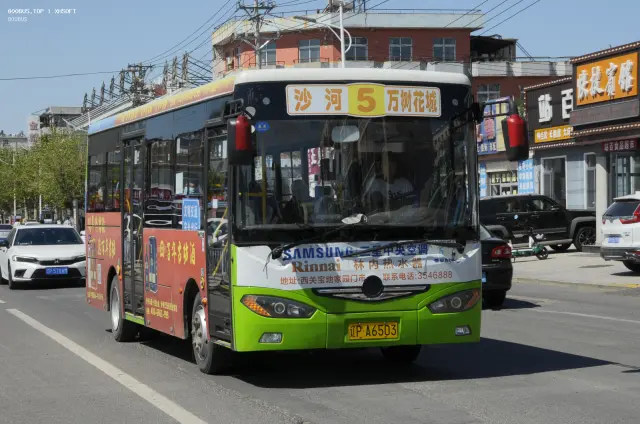 800BUS
