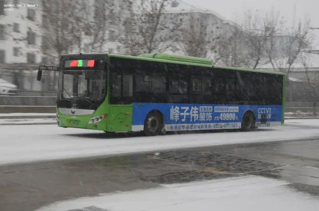 800BUS