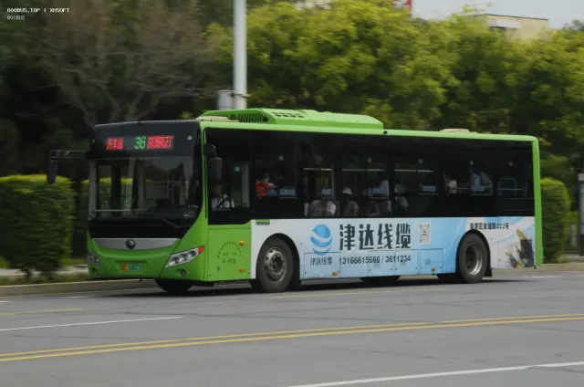 800BUS