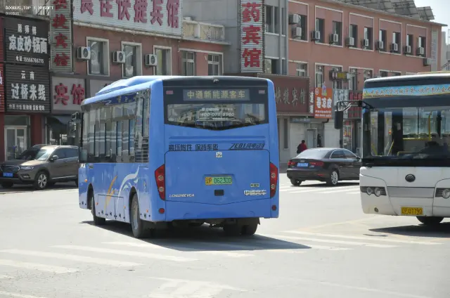 800BUS