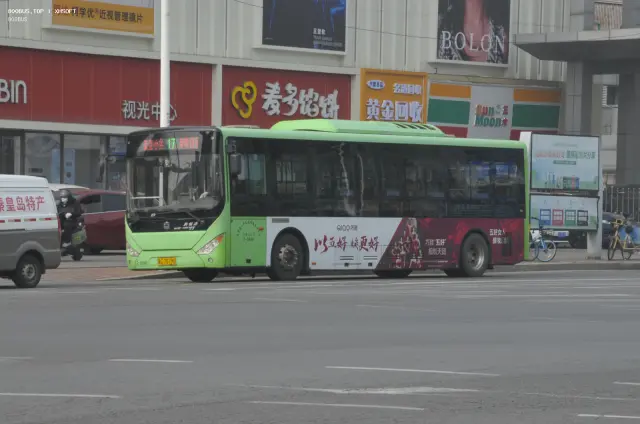800BUS