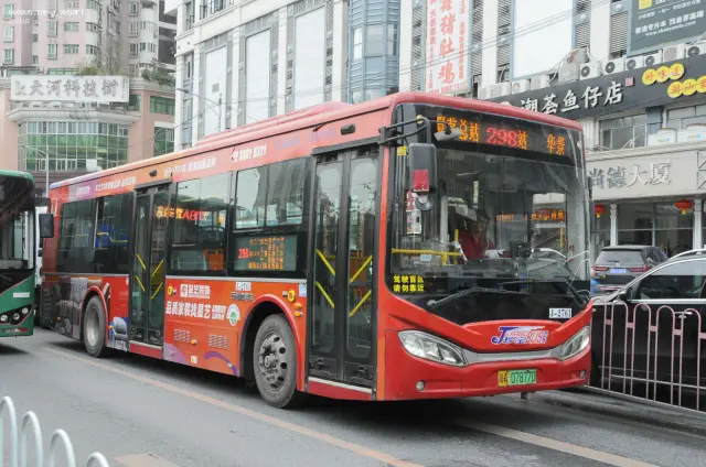 800BUS