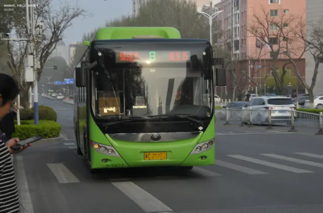 800BUS