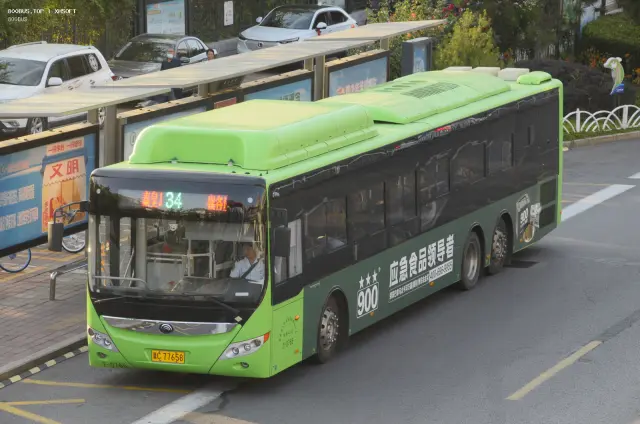 800BUS