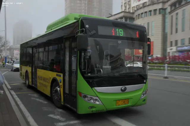 800BUS