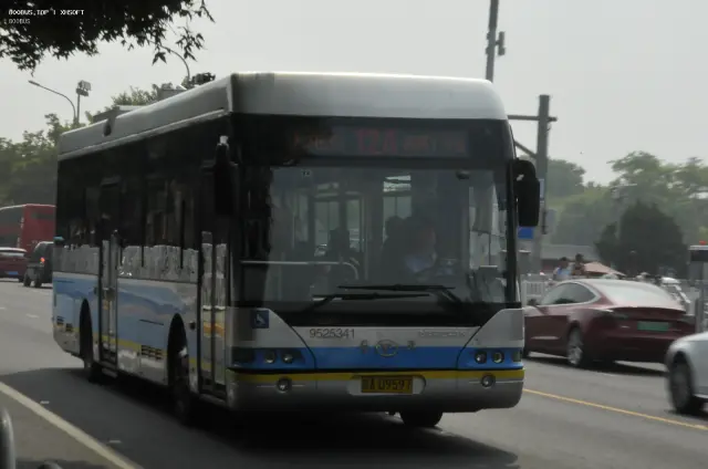 800BUS