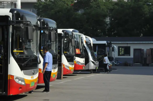 辽P 06215D/辽P 06021D