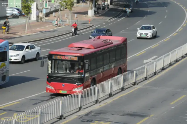 粤A 06215D