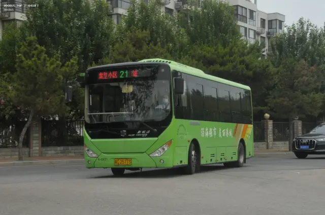 800BUS
