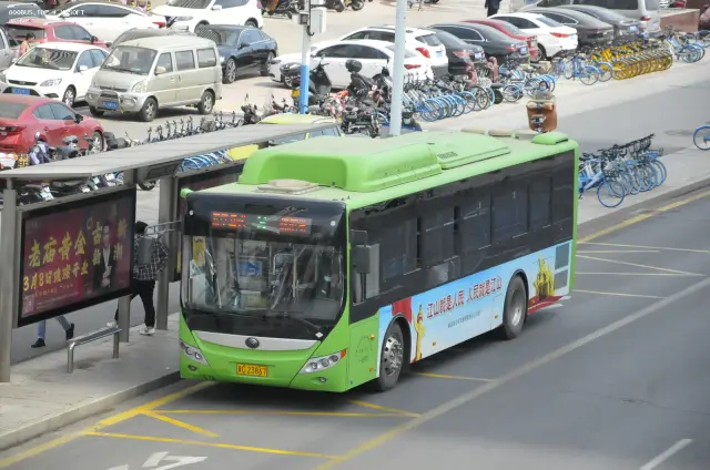 800BUS