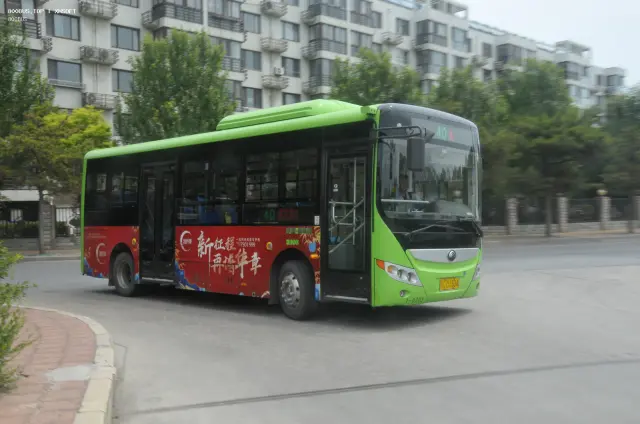 800BUS