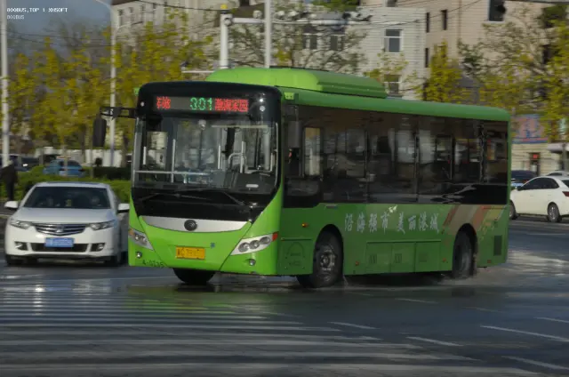 800BUS