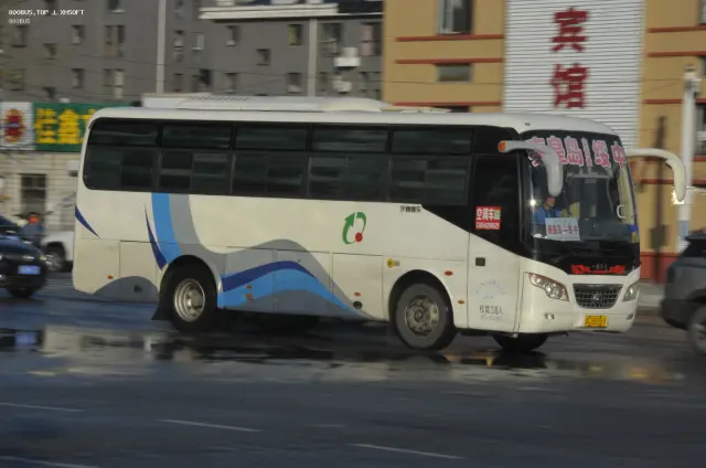 800BUS