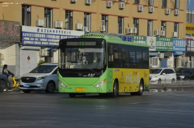 800BUS