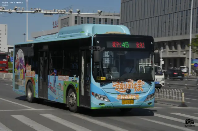 800BUS