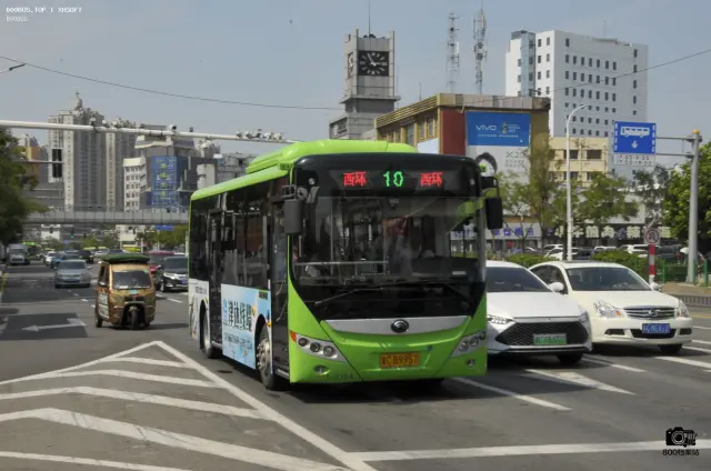 800BUS