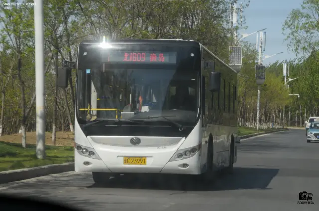800BUS