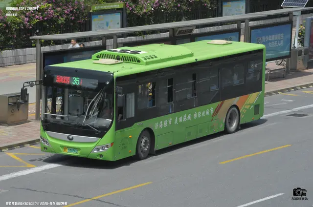 冀C 04856D