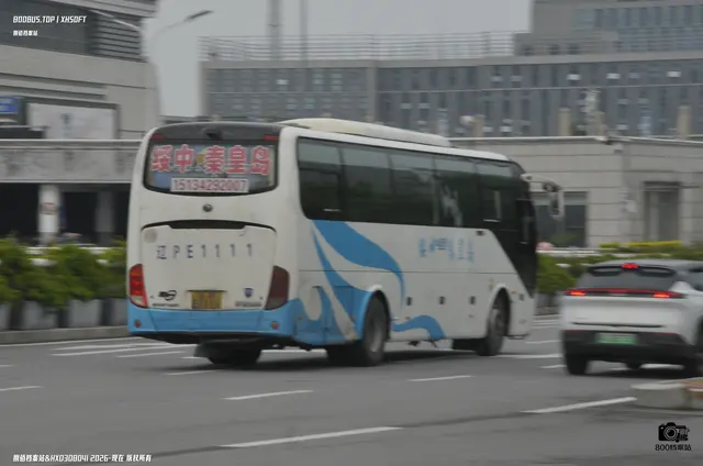 辽P E1111