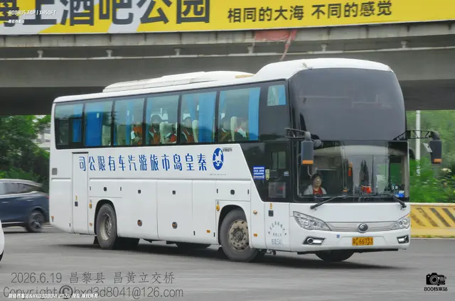冀C 66733
