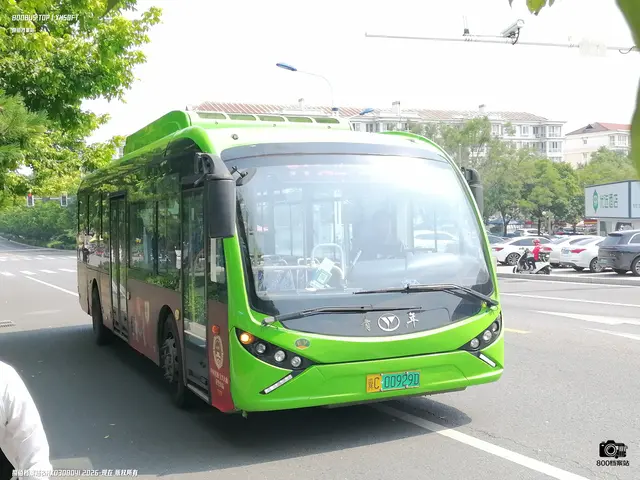 800BUS