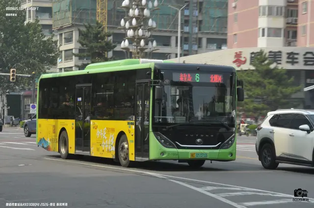 800BUS