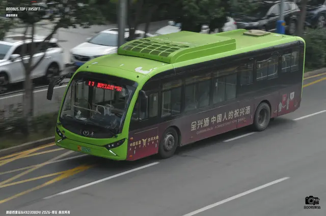 800BUS