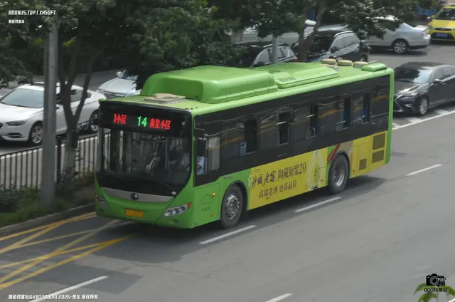 800BUS