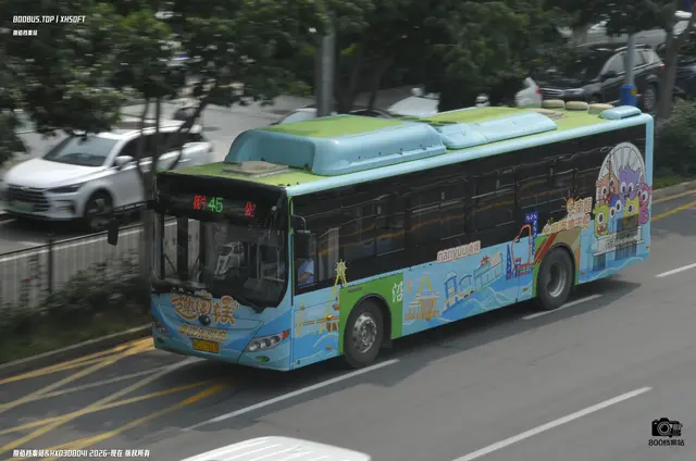 800BUS