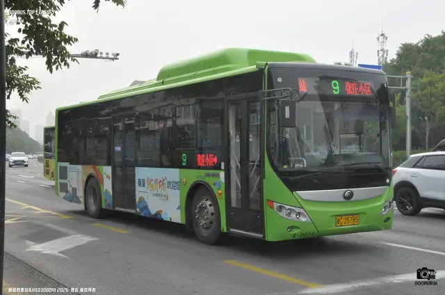 800BUS