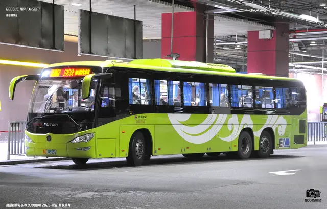 800BUS