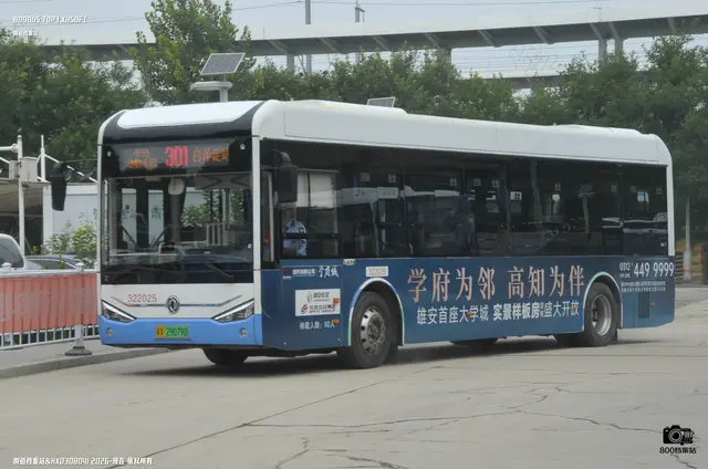冀X 29079D