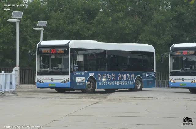 冀X 29079D